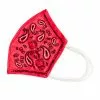 HUNET USA Hello Kitty Paisley Face Mask